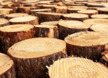 selection-wooden-stumps-countryside