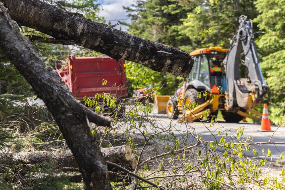 Certified-Trees-Services-Indianapolis-Tree-Cutting-Debris-Junk-Removal