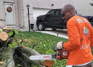 Certified-Trees-Services-Indianapolis-big-Tree-trunk-Cutting-chainsaw-trimming-358x258